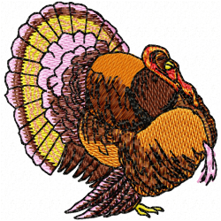Wild Turkey Bird Embroidery Design 12